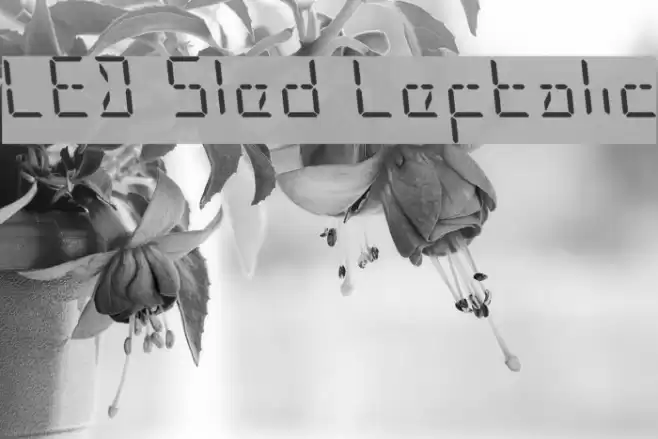 LED Sled Leftalic Font examples