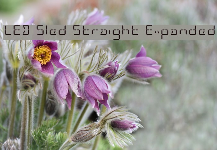 LED Sled Straight Expanded Example 2