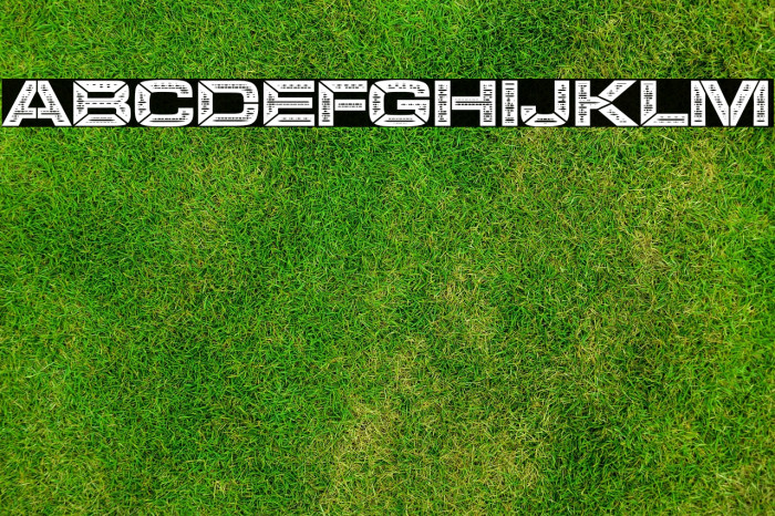 LEGOSOLDIERS Bold Example 2