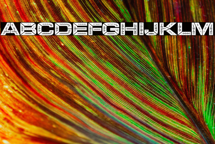 LEGOSOLDIERS Bold Example 3