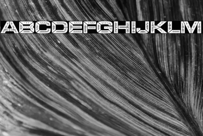 LEGOSOLDIERS Bold Font examples