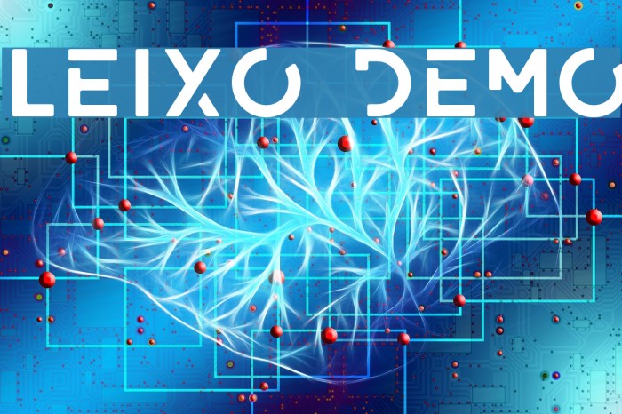 LEIXO DEMO Schriftart examples