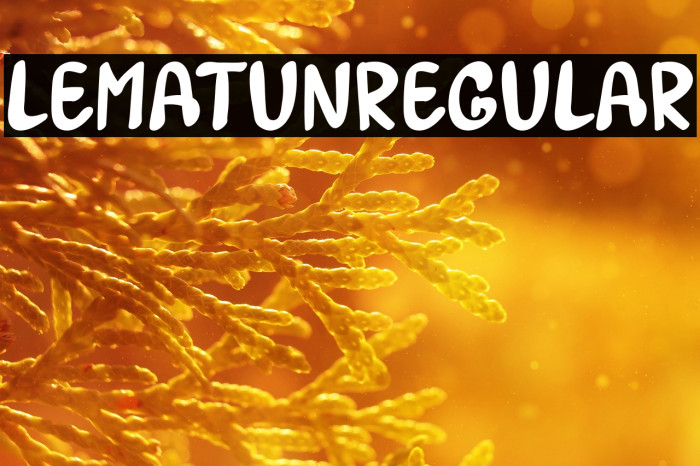 LEMATUN1Regular Example 1