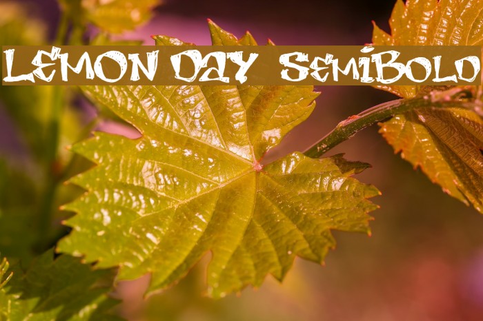LEMON DAY SemiBold Font examples