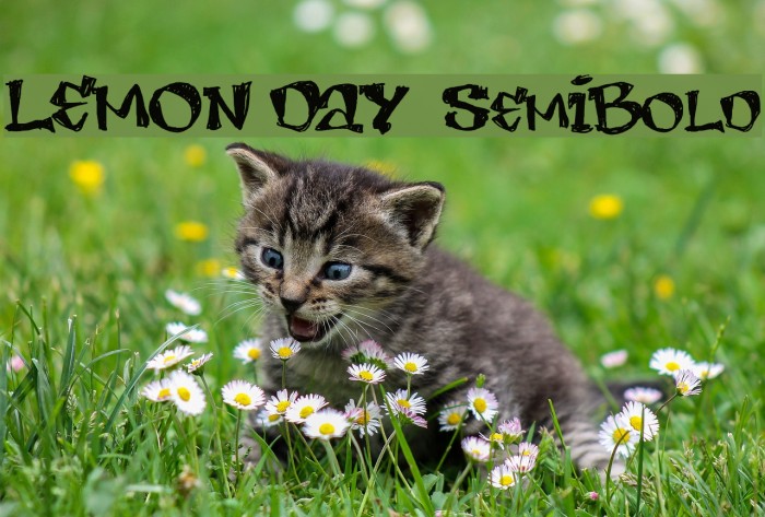 LEMON DAY SemiBold Schriftart examples