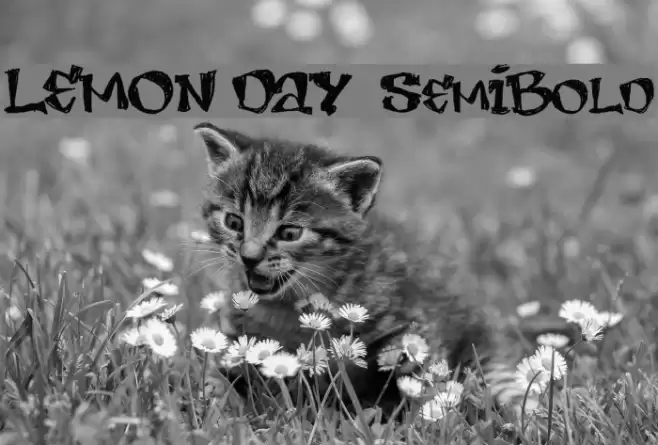 LEMON DAY  SemiBold Schriftart examples