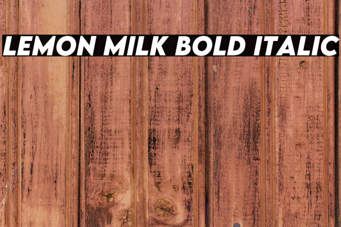 LEMON MILK Bold Italic Example 2