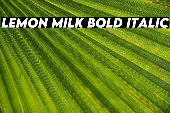 LEMON MILK Bold Italic Example 3