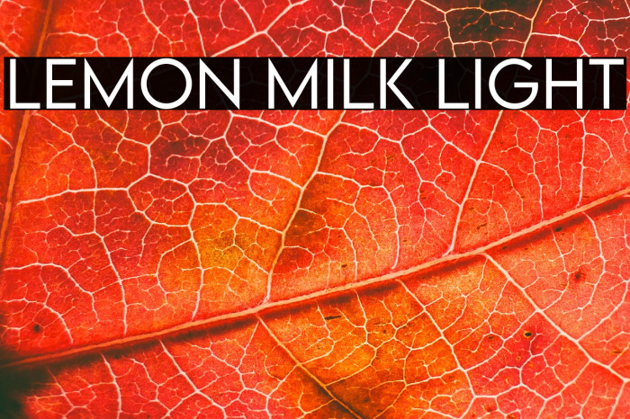 LEMON MILK Light Example 3
