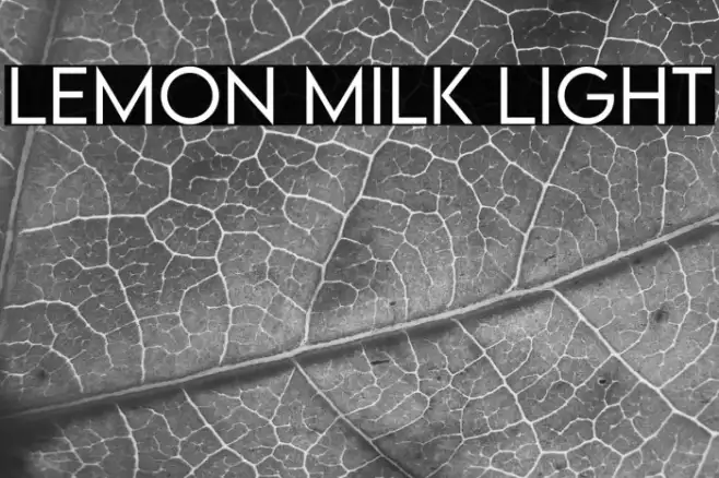 LEMON MILK Light Example 3