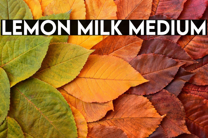 LEMON MILK Medium Example 1