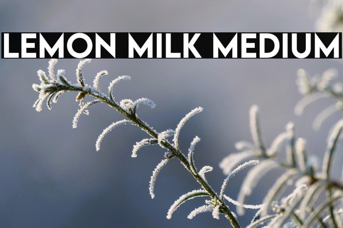 LEMON MILK Medium Example 3