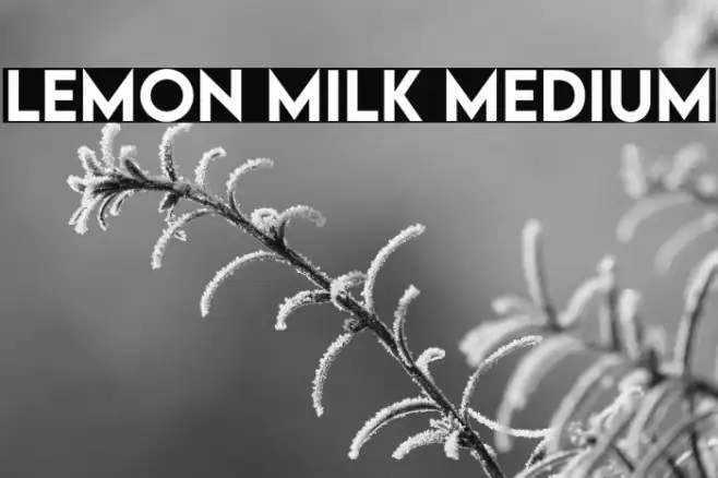 LEMON MILK Medium Example 3