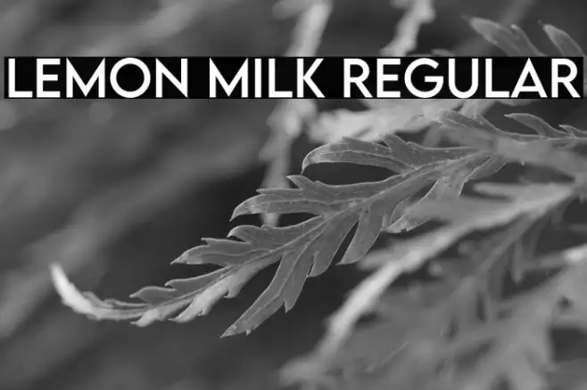 LEMON MILK Regular Example 3