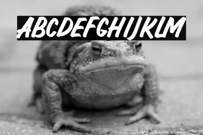 LEMONPIE Font examples