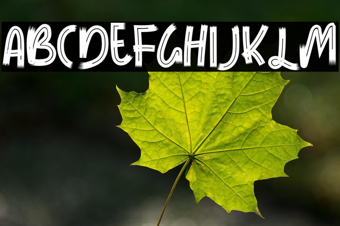 LEMONTEARegular Example 1