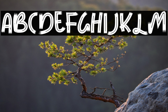 LEMONTEARegular Example 2