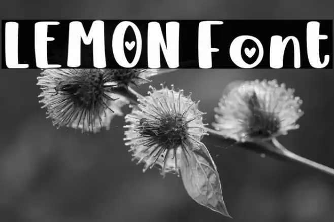 LEMON Fuentes examples