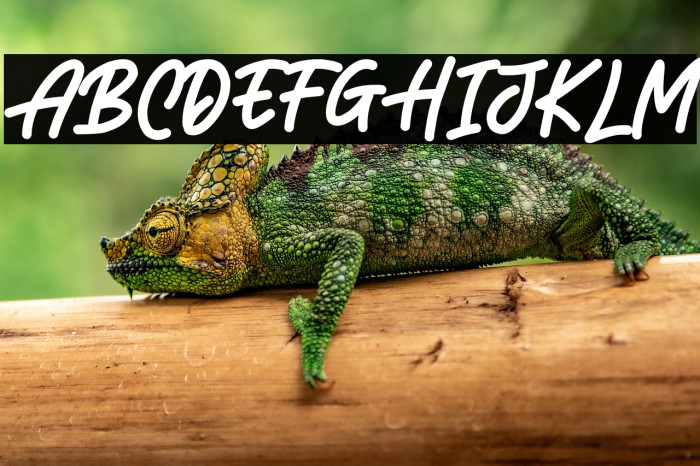 LEONARDOO DEMO Example 1