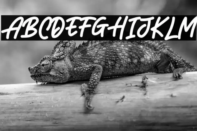 LEONARDOO DEMO Font examples