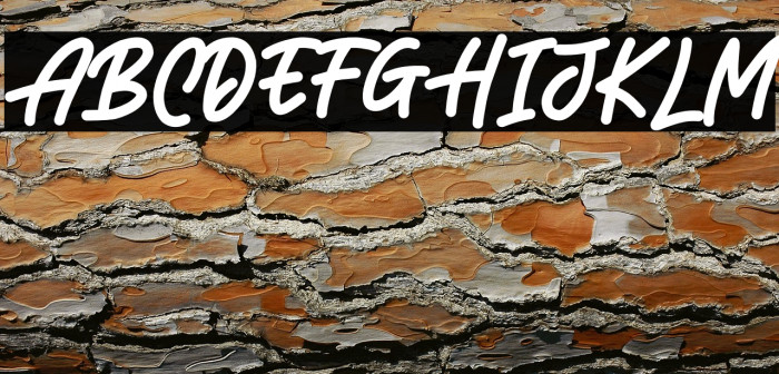 LEONARDOO DEMO Example 3