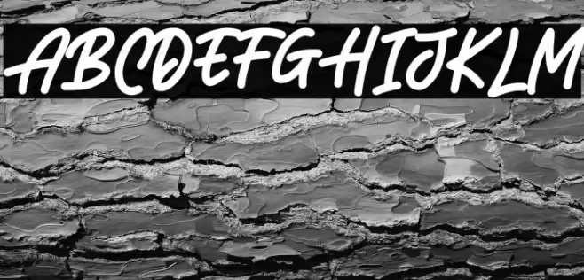 LEONARDOO DEMO Font examples