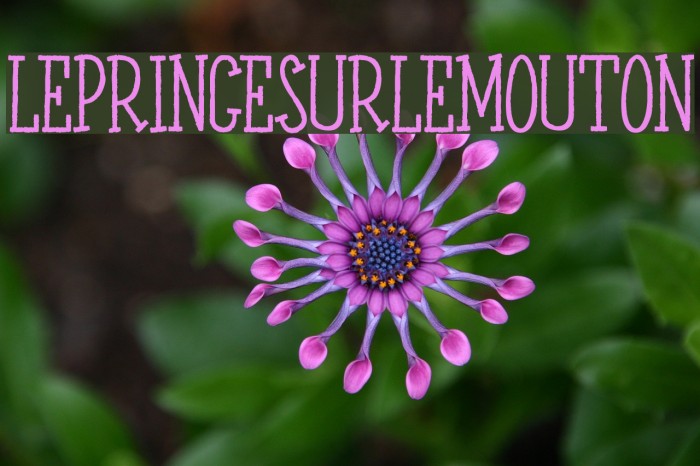 LEPRINCESURLEMOUTON Example 2