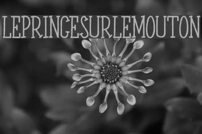 LEPRINCESURLEMOUTON Font examples
