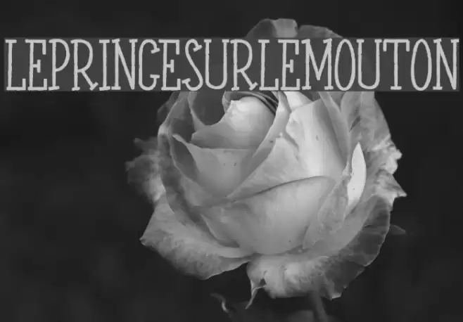 LEPRINCESURLEMOUTON Font examples
