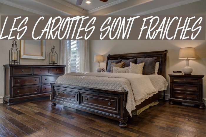 LES CAROTTES SONT FRAICHES Font examples