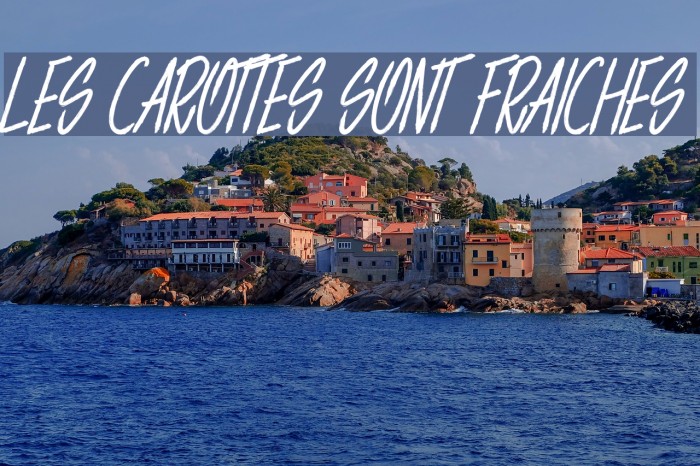 LES CAROTTES SONT FRAICHES Font examples