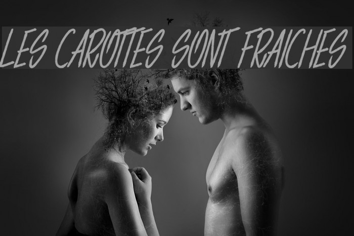 LES CAROTTES SONT FRAICHES Font examples