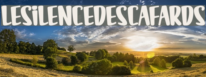 LESILENCEDESCAFARDS Font examples
