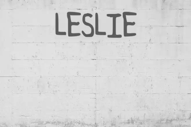 LESLIE Font examples