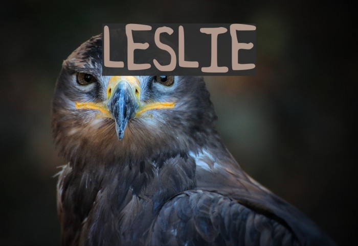 LESLIE Font examples