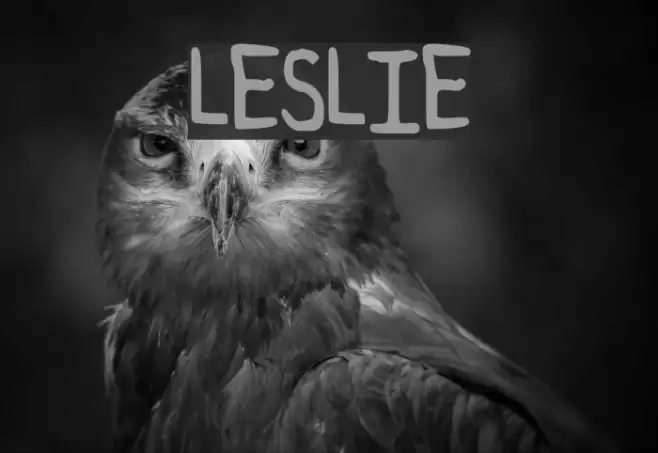 LESLIE Font examples