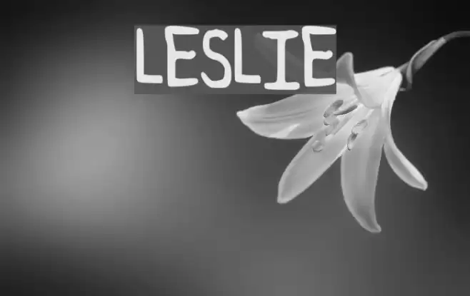LESLIE Font examples