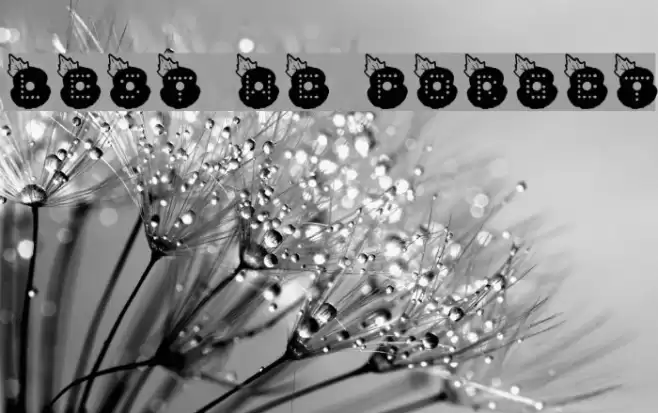 LEST WE FORGET Font examples