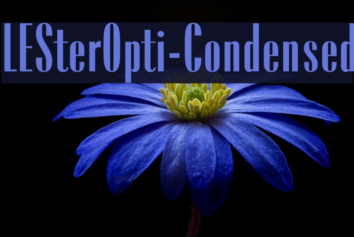 LESterOpti-Condensed Font examples