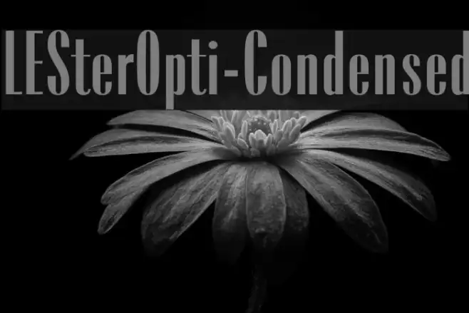 LESterOpti-Condensed Example 2