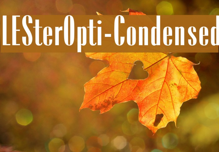 LESterOpti-Condensed Font examples