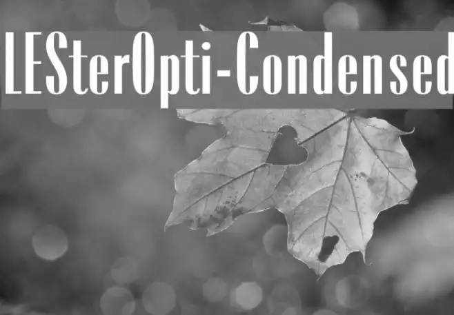 LESterOpti-Condensed Example 3