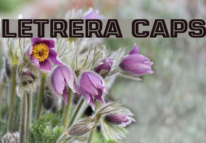 LETRERA CAPS Font examples