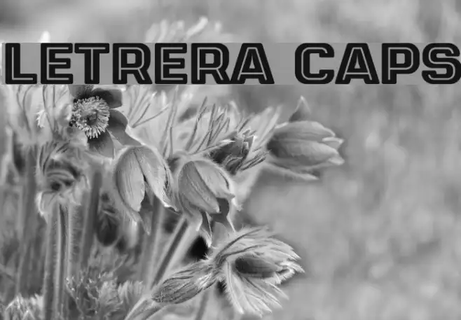 LETRERA CAPS Example 2