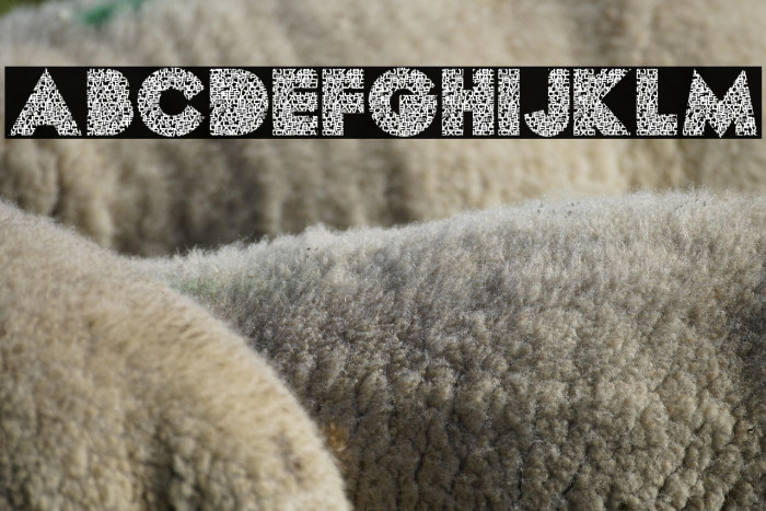 LETTERSPERSONALUSE-Regular Example 1