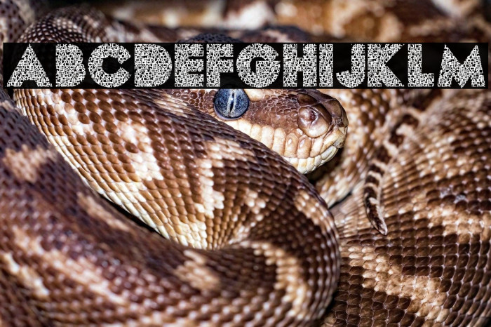 LETTERSPERSONALUSE-Regular Example 2