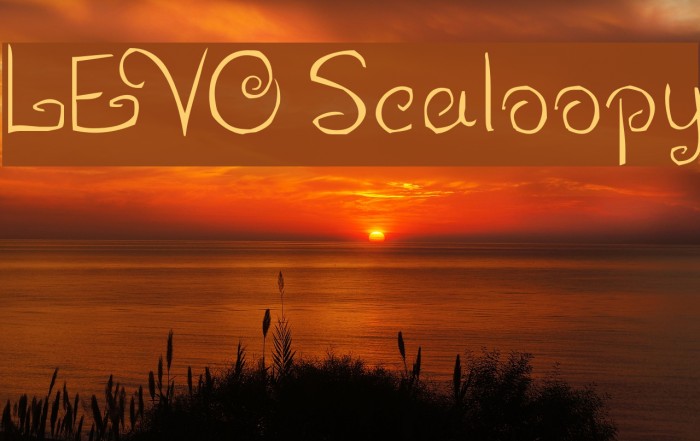 LEVO Scaloopy Example 1