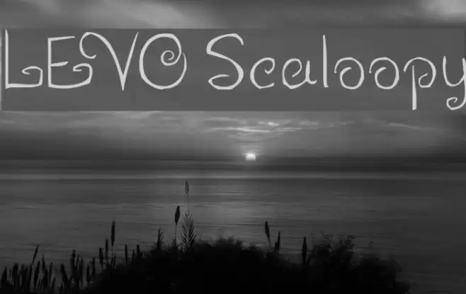 LEVO Scaloopy Font examples