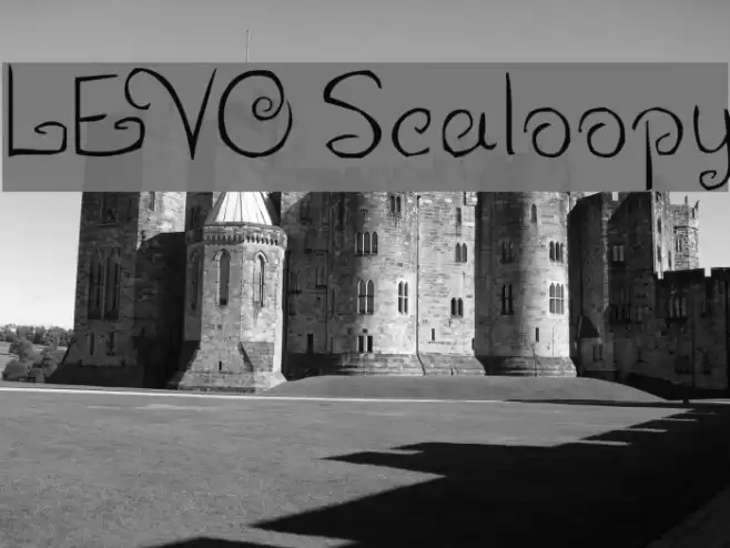 LEVO Scaloopy Font examples