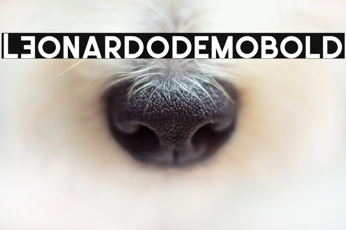LEonardoDemoBold Example 1
